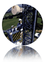 Microwave Antenna Systems